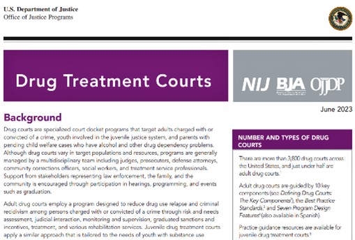 Thumbnail for Drug Treatment Courts