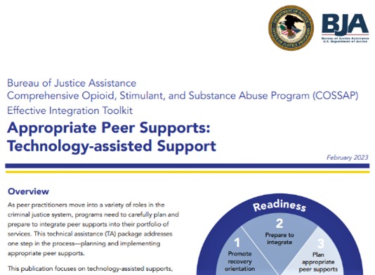 Thumbnail for Appropriate Peer Supports: Technology-assisted Support