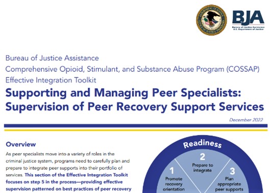 Thumbnail for Effective Integration Toolkit—Supporting and Managing Peer Specialists: Supervision of Peer Recovery Support Services
